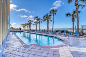 Dolphin Vista 33