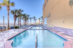 Dolphin Vista 35