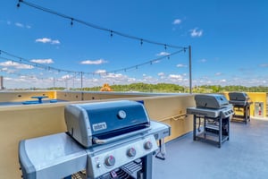 Dolphin Vista 36