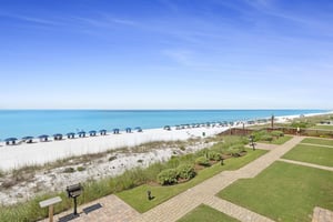 Coral Reef Club 26 19