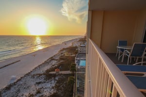 Ocean Reef 808 25