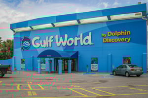 Gulf Highlands 124 Abbie Lane 45