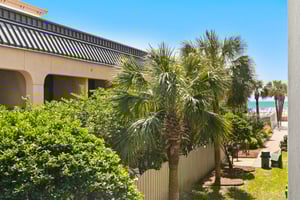 Sea Oats 211 20