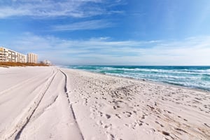 Dolphin Point, Unit 501B 20
