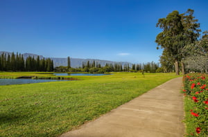 Puu Poa 309 38