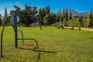 Puu Poa 309 39