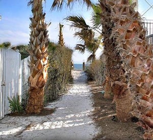 Beach Rentals at Seacrest Beach North in Highway 30A Florida