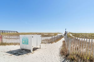 Sandy pathway going towards the Gulf of Mexico
