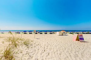 473584 Castaways  1455 0 202311 411