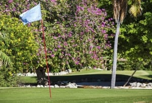 Cheeca Lodge  Spa in Islamorada FL 84