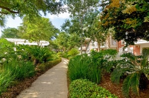 A welllandscaped path through the property