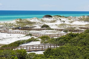 Watersound Beach Rentals