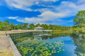 477824 Seagrove Highlands  2017 0 202312 5135