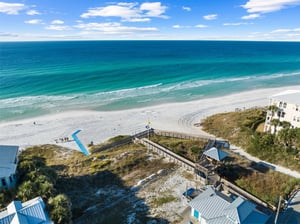 Coastal Grove 44