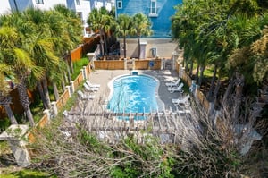 Coastal Grove 49