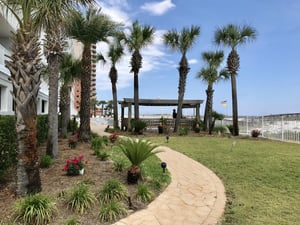 Ocean House 1201 17