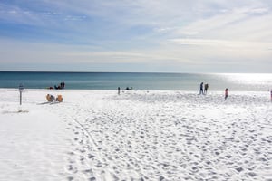 Beach Vibes 1 32