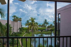 Beach View