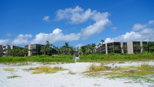 Beach to Building