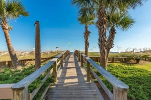 Palm Beach B52 30