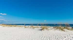Palm Beach B52 33