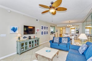 The Pearl of Navarre 803 20