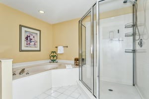 The Pearl of Navarre 803 28