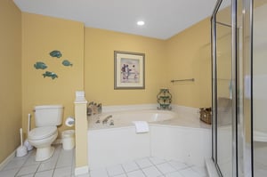 The Pearl of Navarre 803 31