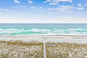 The Pearl of Navarre 803 39