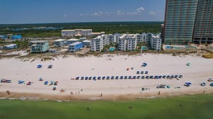 Palm Beach B52 42