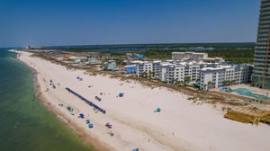 Palm Beach B52 43