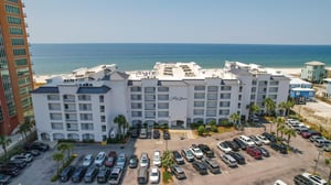 Palm Beach B52 49