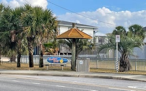 Via De Luna 220  Spanish Moss 4