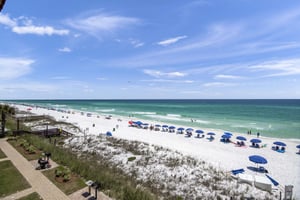 Coral Reef Club 39 22
