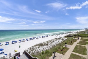 Coral Reef Club 39 23