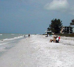 Caribe