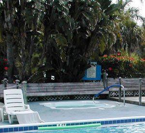 Caribe