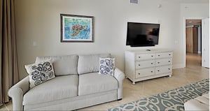 Turquoise D508 9