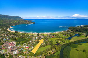 One Hanalei 44