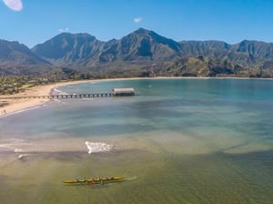 One Hanalei 51