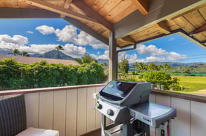 Nalu Hanalei 38