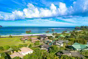 Nalu Hanalei 50