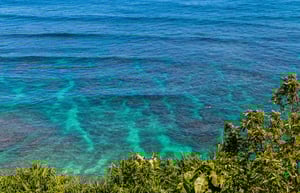 Mahina Kai 37