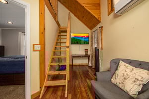 Room with Futon and Flat Screen at Hoop Dreams Lodge