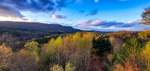 19554 Istock2152824723