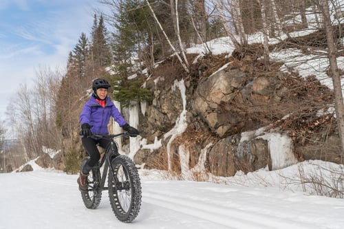 8245750 Fat Bike 2