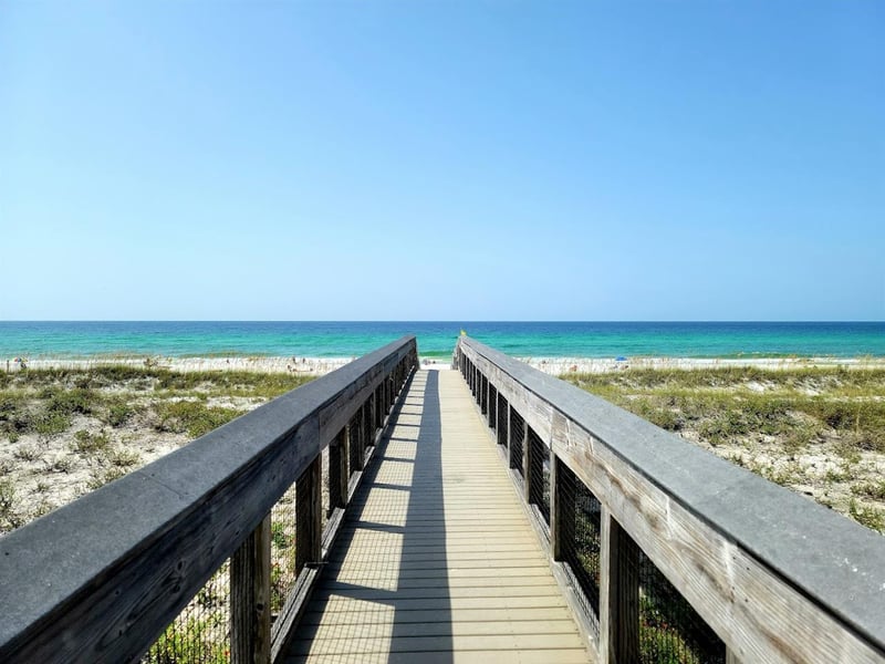 1648260 Henderson Beach State Parl