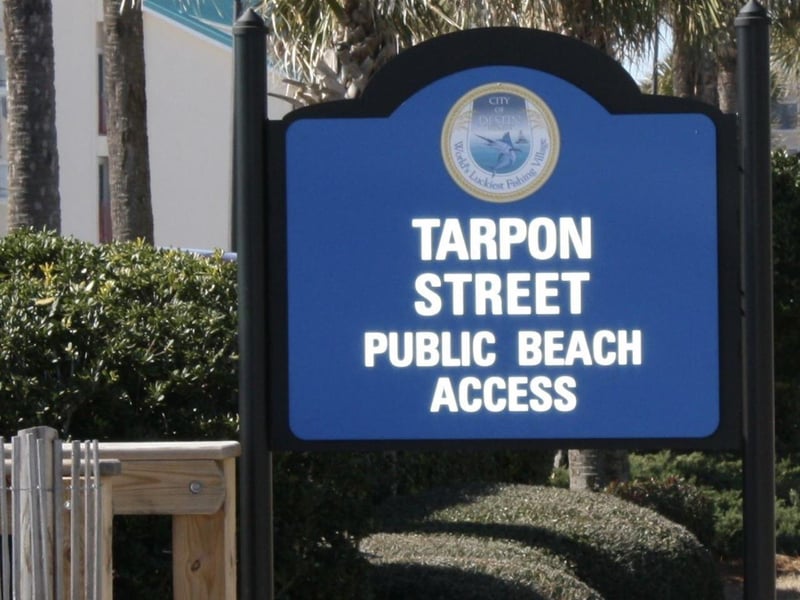 1648271 Tarpon
