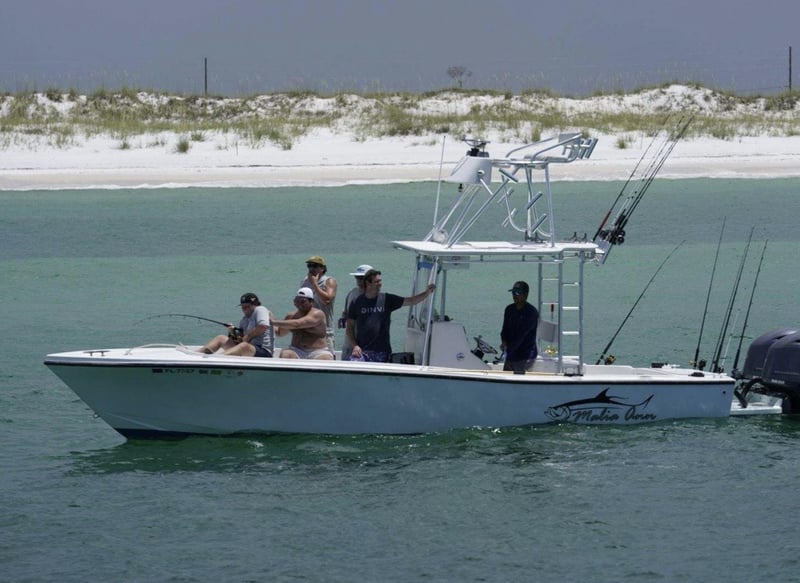 2136782 Screen Shot 2025 06 24 At 1