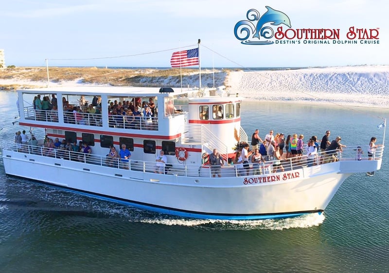 2143887 Thumbnail_southern Star Dolphin Cruise Copy